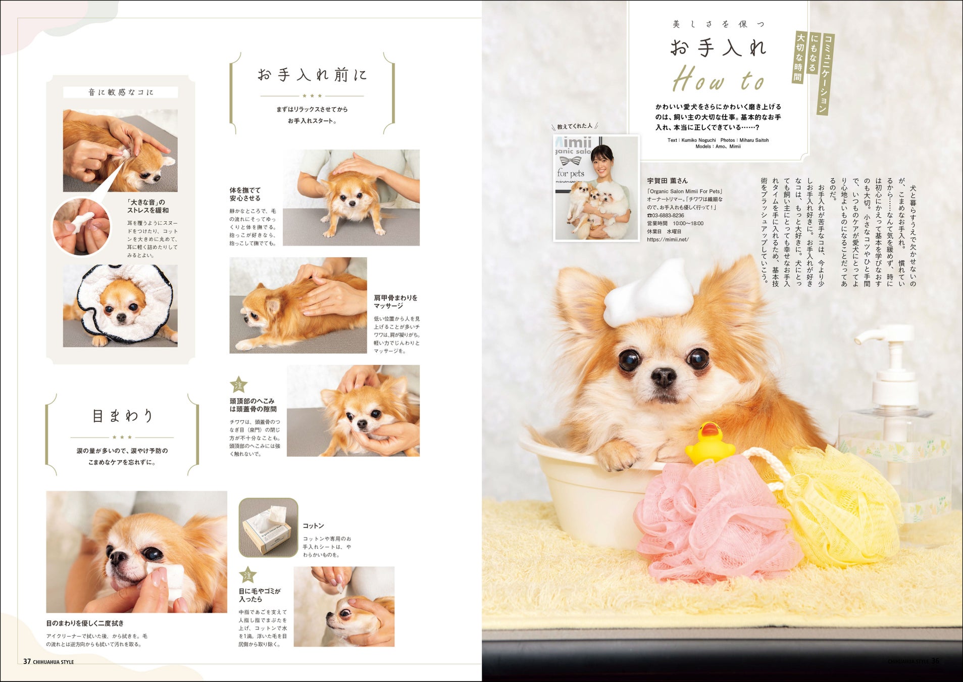 チワワともっと仲良くなるための「６つのルール」とは？ 今日から実践できる、関係見直しのメソッドを特集したチワワ専門誌『チワワstyle』最新号が9月15日（金）発売のサブ画像6