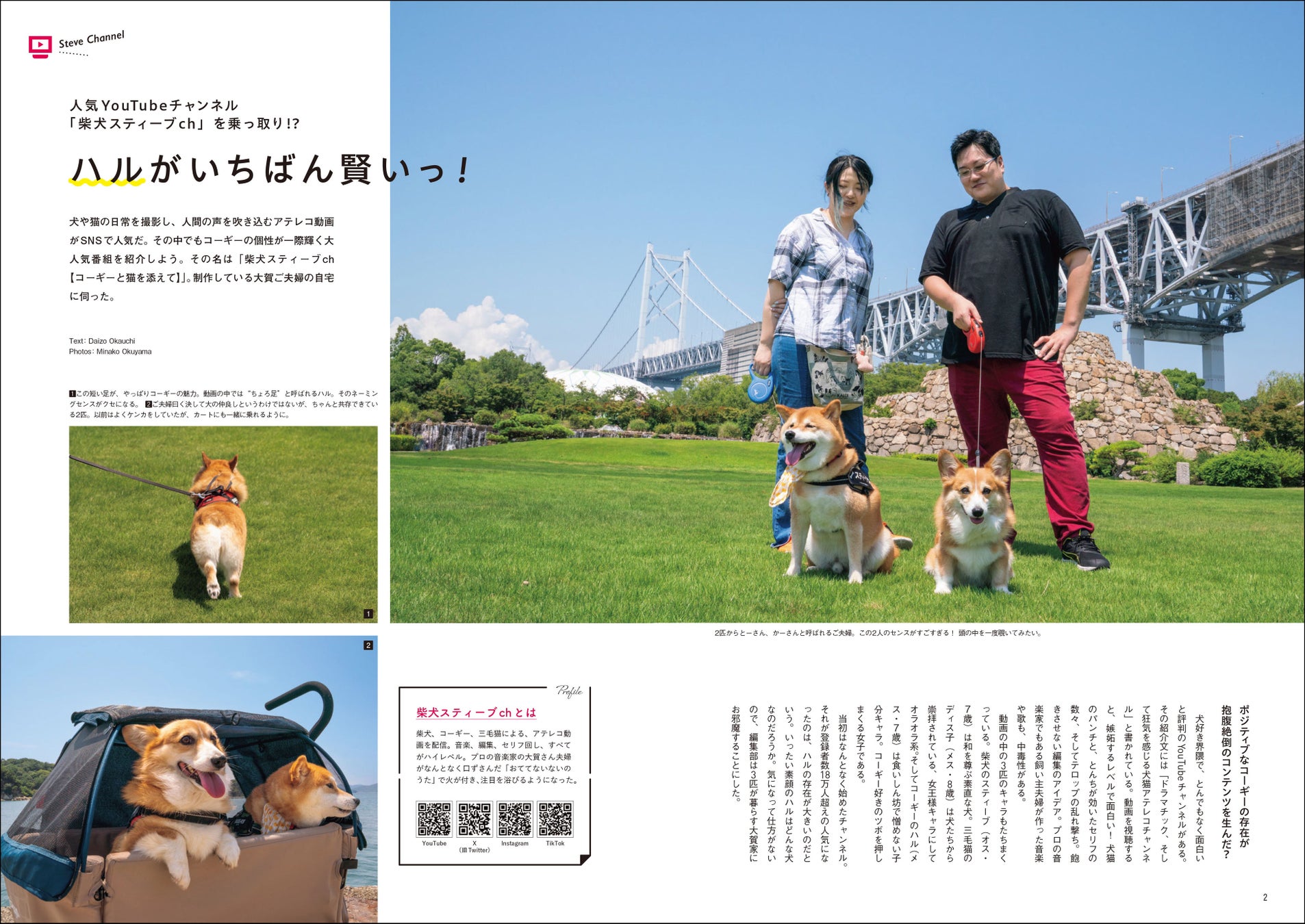 コーギーのために必要な「お金」はいくら？ まわりには聞きにくい、コーギーと暮らす家庭のお財布事情を特集したコーギー専門誌『コーギーSTYLE』最新号Vol.47が9月28日（木）発売のサブ画像2