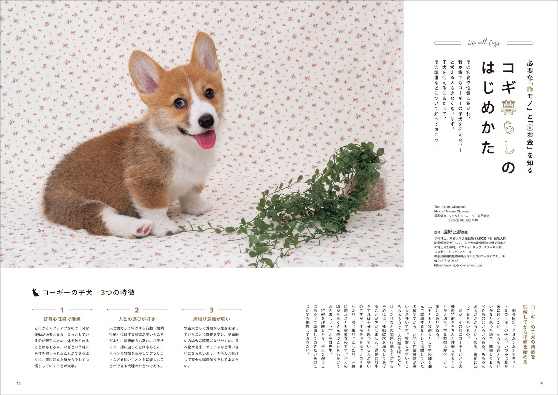 コーギーのために必要な「お金」はいくら？ まわりには聞きにくい、コーギーと暮らす家庭のお財布事情を特集したコーギー専門誌『コーギーSTYLE』最新号Vol.47が9月28日（木）発売のサブ画像3