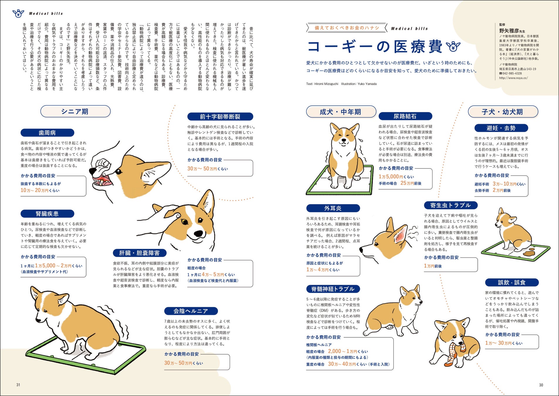 コーギーのために必要な「お金」はいくら？ まわりには聞きにくい、コーギーと暮らす家庭のお財布事情を特集したコーギー専門誌『コーギーSTYLE』最新号Vol.47が9月28日（木）発売のサブ画像5