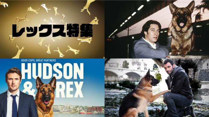 11月1日 “犬の日” にアクションチャンネル＆ミステリーチャンネル共同編成『レックス特集』のメイン画像