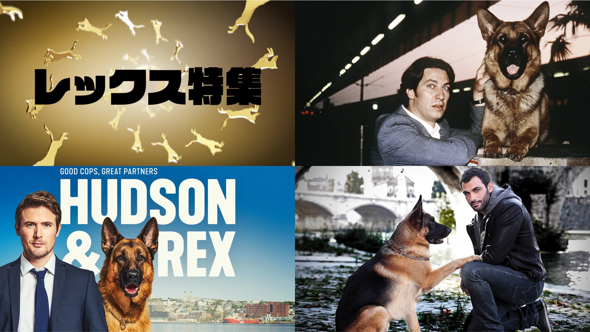 11月1日 “犬の日” にアクションチャンネル＆ミステリーチャンネル共同編成『レックス特集』のサブ画像1_© BetaFilm　© Shaftesbury／Pope Productions　© DOG’S LIFE SRL 2013
