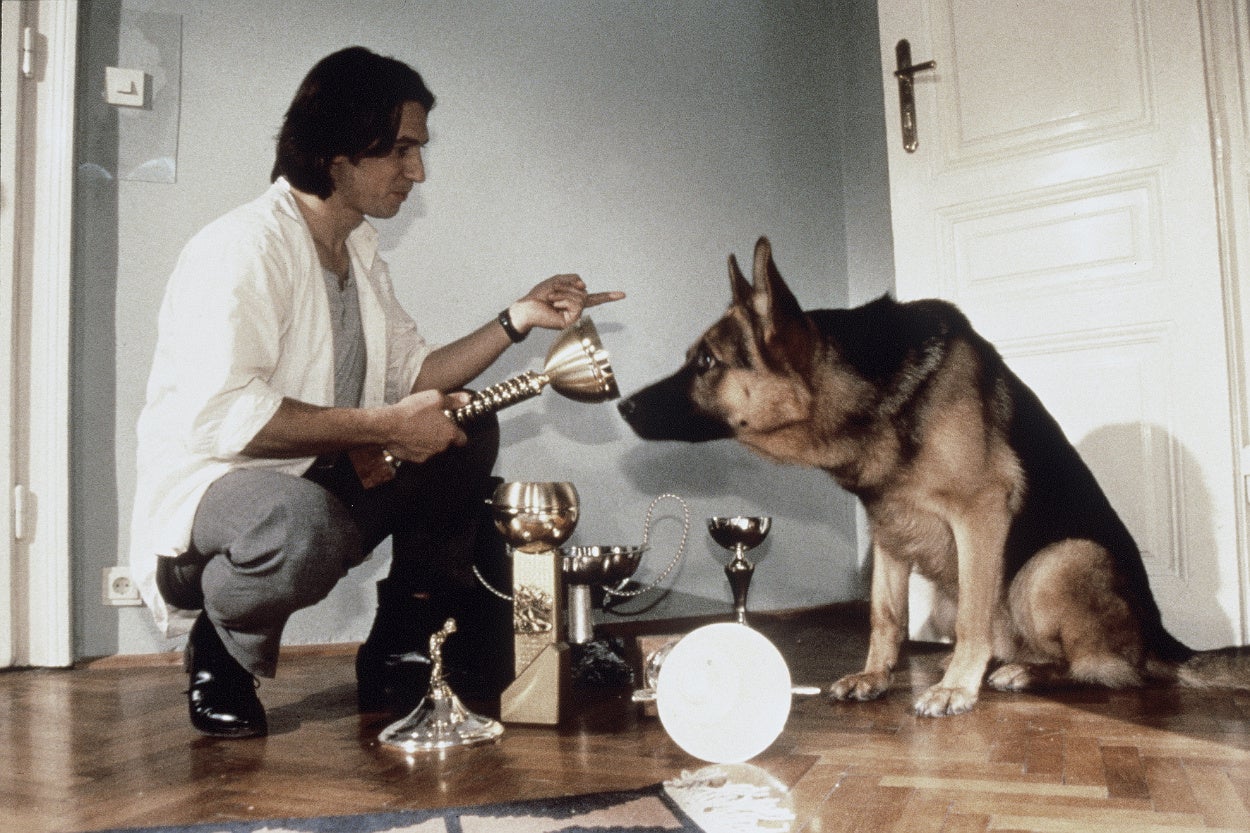 11月1日 “犬の日” にアクションチャンネル＆ミステリーチャンネル共同編成『レックス特集』のサブ画像2_「レックス～ウィーン警察シェパード犬刑事～」 © SAT 1