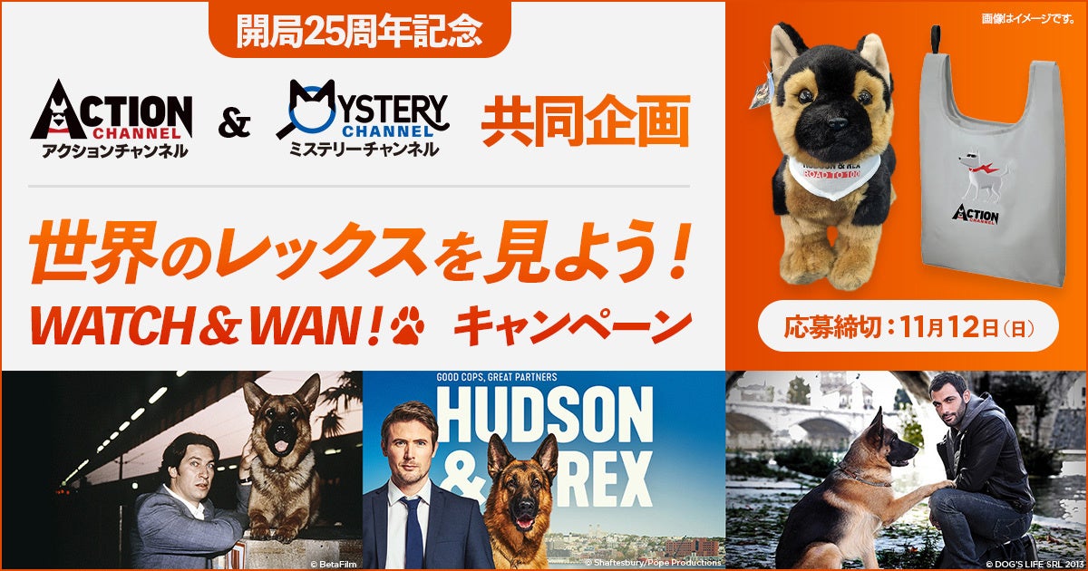 11月1日 “犬の日” にアクションチャンネル＆ミステリーチャンネル共同編成『レックス特集』のサブ画像8_© BetaFilm　© Shaftesbury／Pope Productions　© DOG’S LIFE SRL 2013