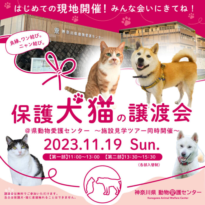 保護犬猫の譲渡会＠県動物愛護センターを開催します～施設見学ツアー同時開催～のメイン画像