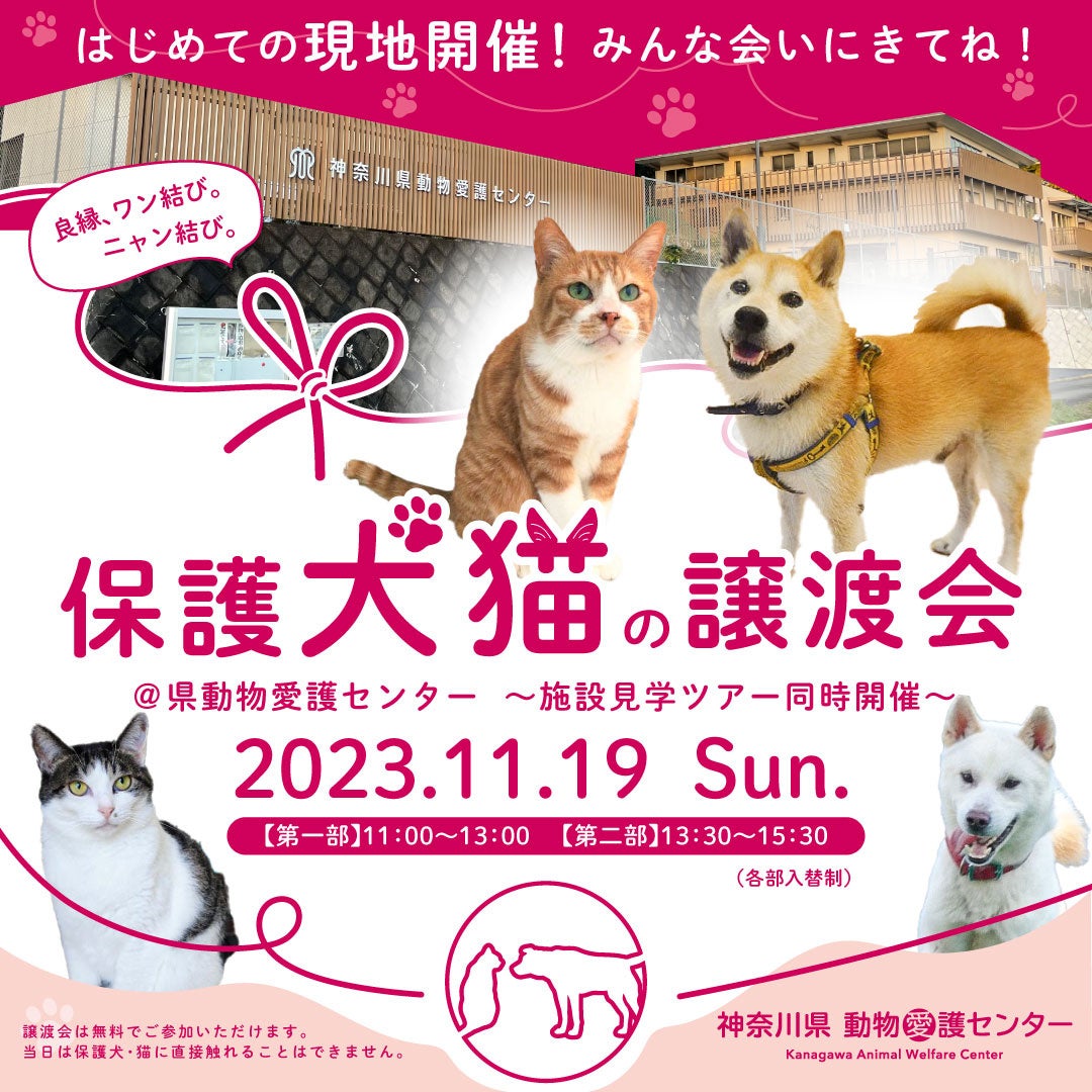保護犬猫の譲渡会＠県動物愛護センターを開催します～施設見学ツアー同時開催～のサブ画像1
