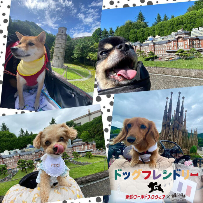 2023年11月1日より、日付を限定してわんちゃんと園内を楽しめる「わんちゃんフリーＤＡＹ」をスタート！また、11月11日には、５８ロハスクラブとのコラボ企画としてドッグマルシェを開催します！のメイン画像