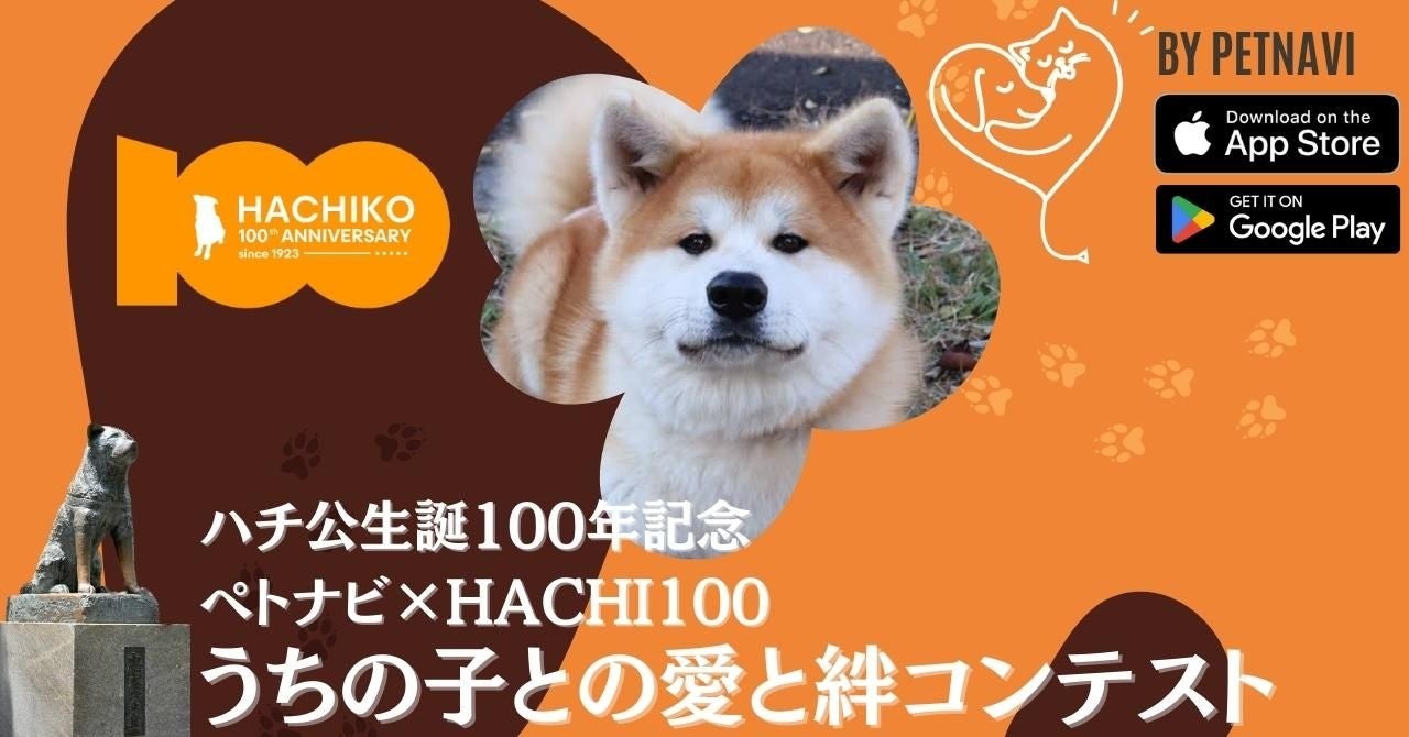 【ペトナビ秋イベント開催決定】前田敦子さん、加藤ナナさん審査員の