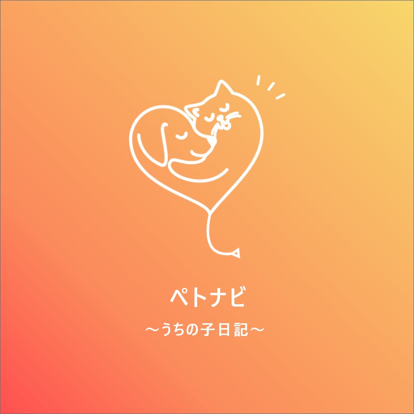 【ペトナビ秋イベント開催決定】前田敦子さん、加藤ナナさん審査員の