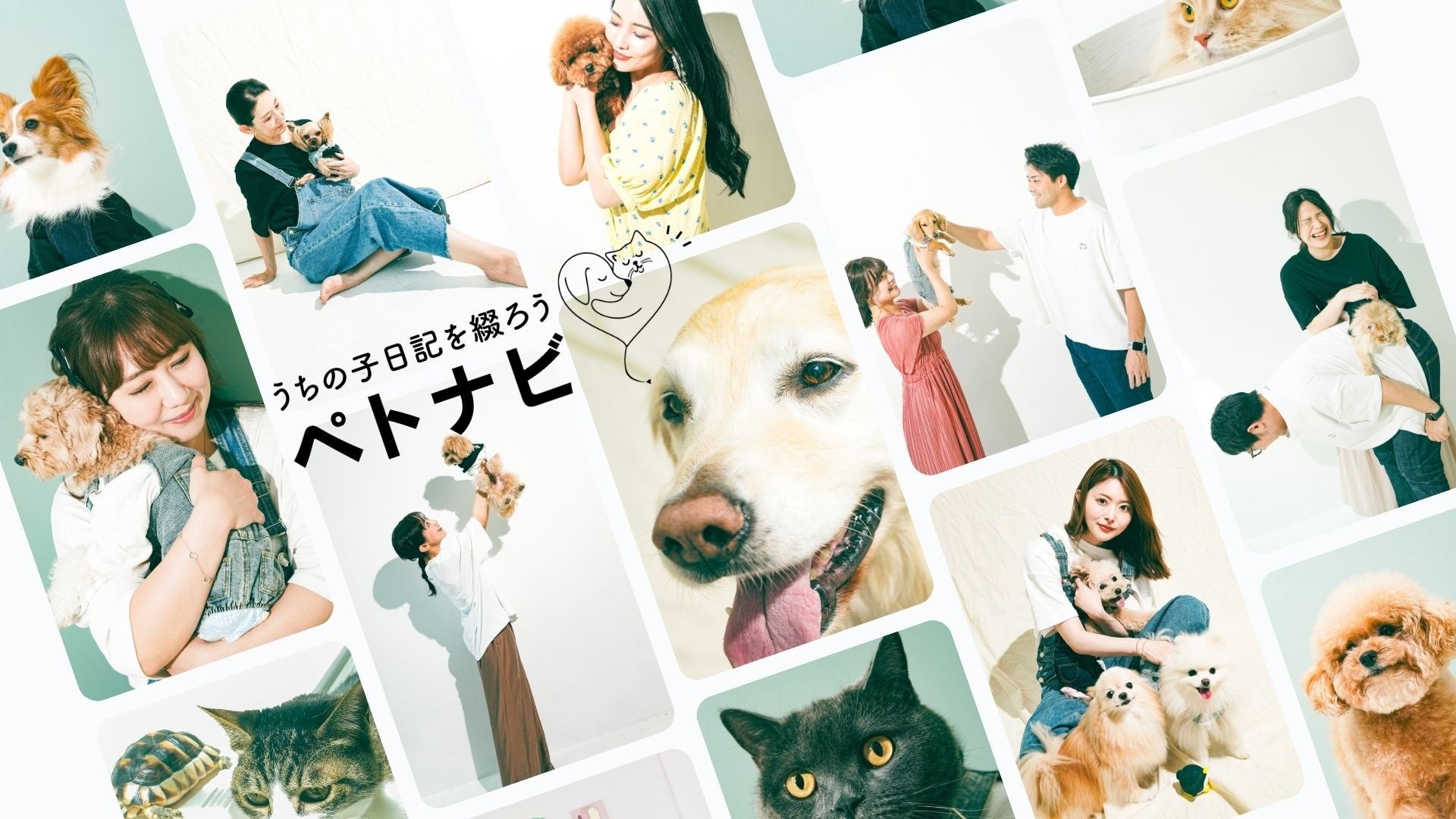 【ペトナビ秋イベント開催決定】前田敦子さん、加藤ナナさん審査員の