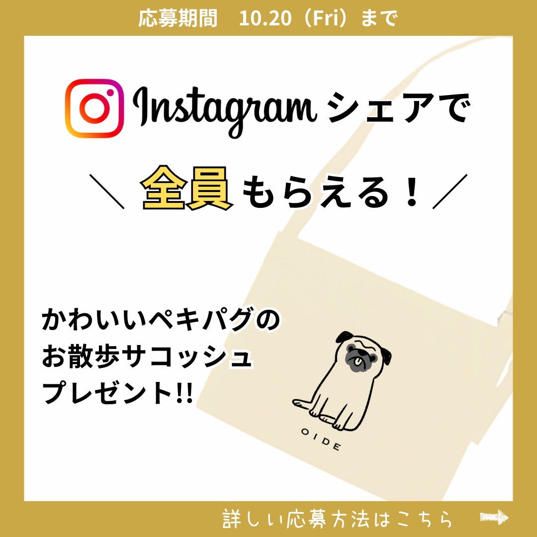 【Makuakeにて目標７００％達成！】愛犬用エイジングケアおやつ『OIDE』　“必ず全員！”もらえるInstagramシェアキャンペーン開催中のサブ画像4