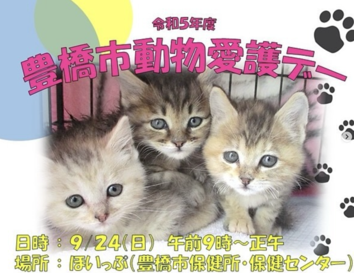 動物愛護センター（仮称）開所に向け、愛知県豊橋市が保護犬・猫の暮らしぶりを伝えるインスタ開設のメイン画像