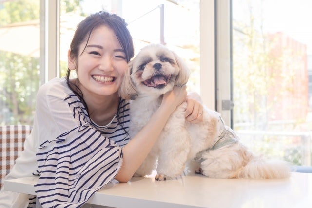 動物愛護センター（仮称）開所に向け、愛知県豊橋市が保護犬・猫の暮らしぶりを伝えるインスタ開設のサブ画像1
