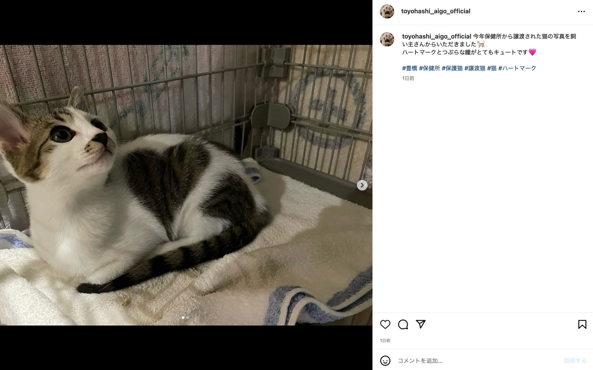 動物愛護センター（仮称）開所に向け、愛知県豊橋市が保護犬・猫の暮らしぶりを伝えるインスタ開設のサブ画像2
