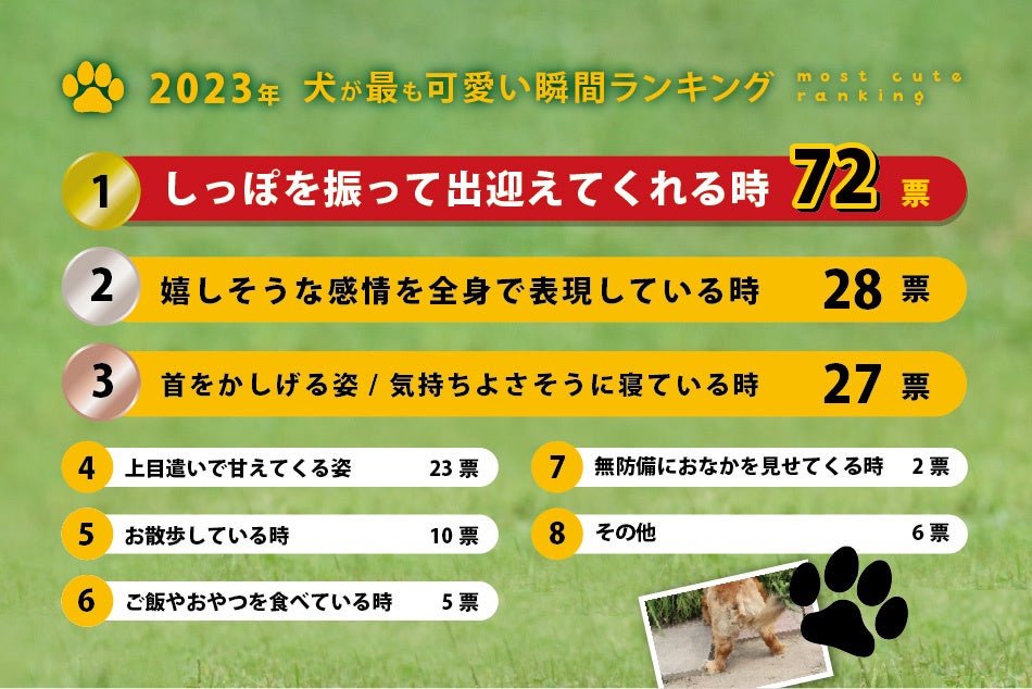 【2023年 犬が最も可愛い瞬間ランキング】ダントツ1位を獲得したのは、ワンちゃんの〇〇な瞬間。のサブ画像7