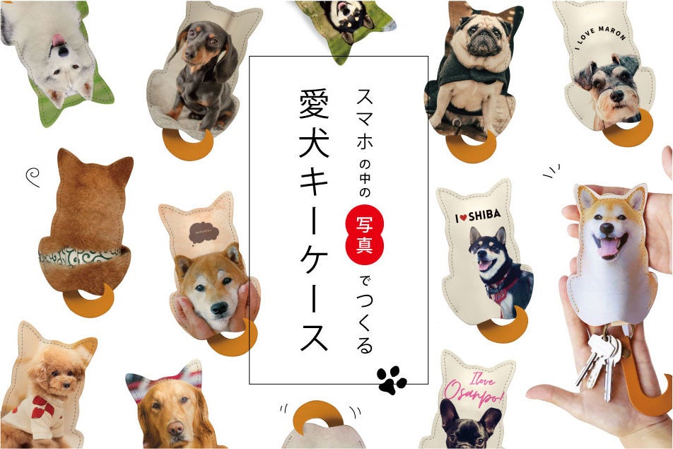 【2023年 犬が最も可愛い瞬間ランキング】ダントツ1位を獲得したのは、ワンちゃんの〇〇な瞬間。のサブ画像8