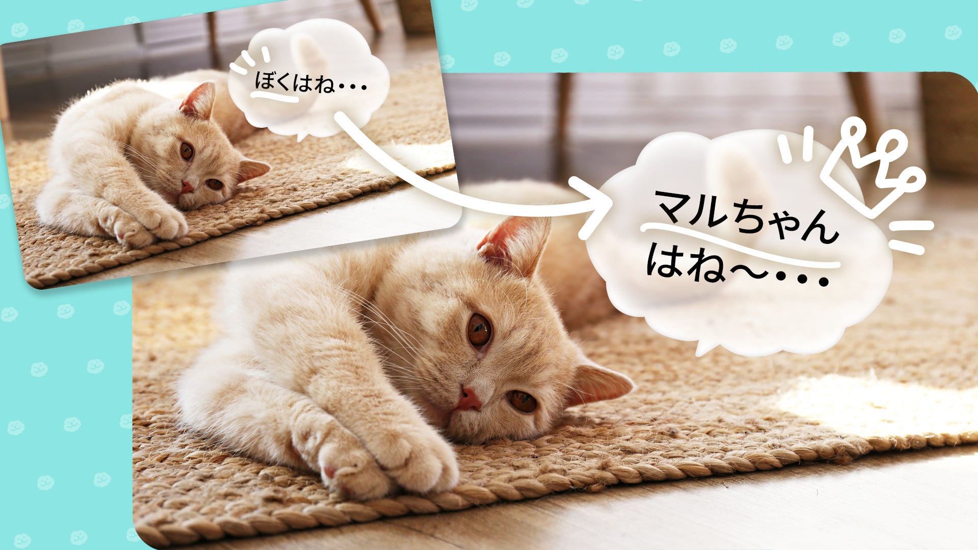 生成AIでペットのキモチをセリフ化する！？ペットのキモチがのぞけるアプリ「ツイペット」配信開始！のサブ画像3