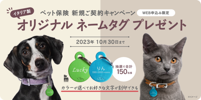 ペット＆ファミリー「げんきナンバーわんスリム」10月新規ご契約キャンペーンのお知らせのメイン画像