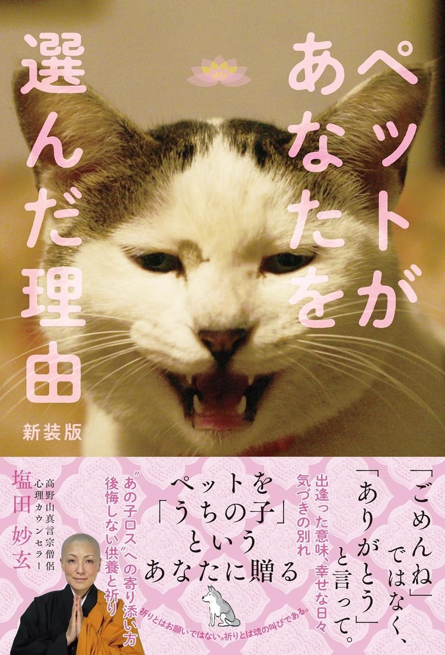 あなたが子供の頃に、道端に捨てられていた子猫を拾って、家に連れて帰ったのはなぜですか？　ペットとの出会いの摩訶不思議さを描いた『ペットがあなたを選んだ理由』を新装版で刊行！のサブ画像3