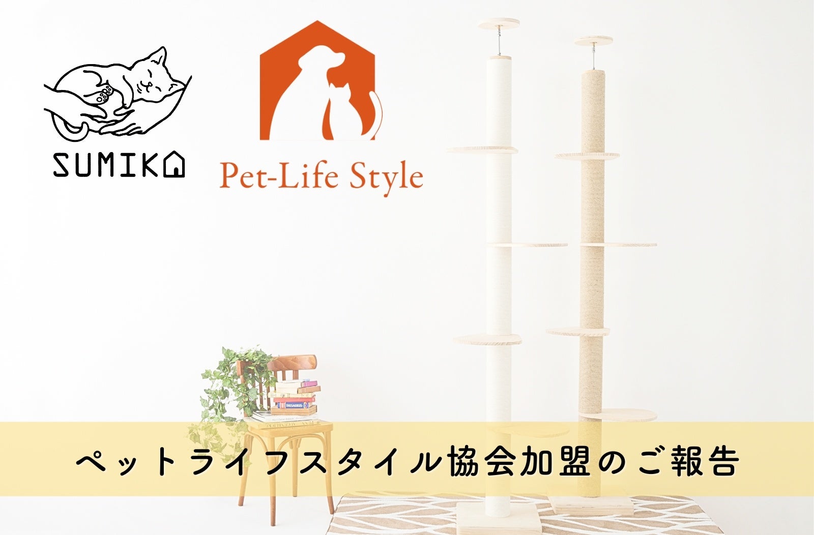 【キャットタワーのSUMIKAが住宅市場へ参入】今後の市場拡大を目指し、住宅ビルダー・工務店との提携を進めて参りますのサブ画像1