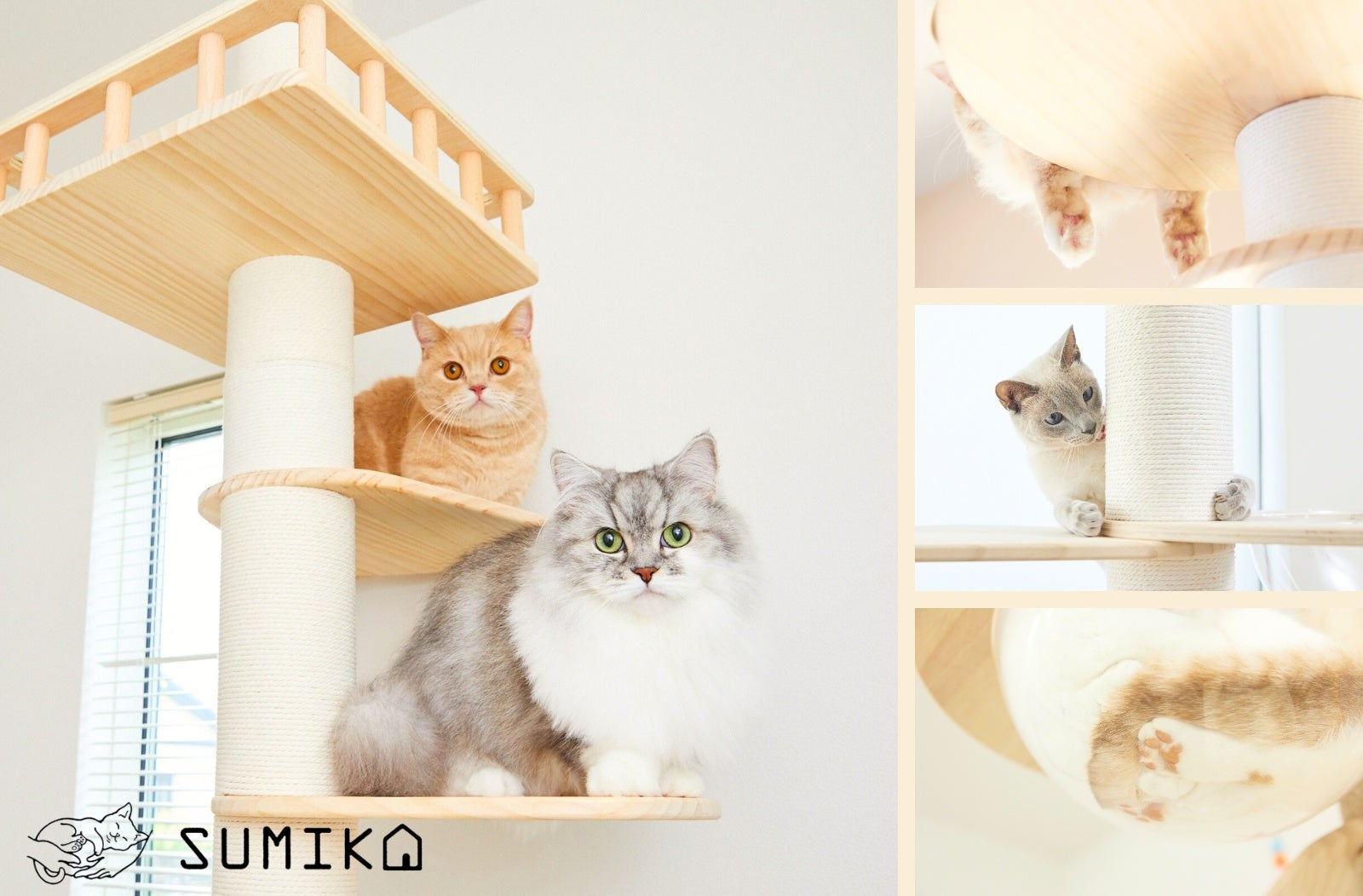 【キャットタワーのSUMIKAが住宅市場へ参入】今後の市場拡大を目指し、住宅ビルダー・工務店との提携を進めて参りますのサブ画像3