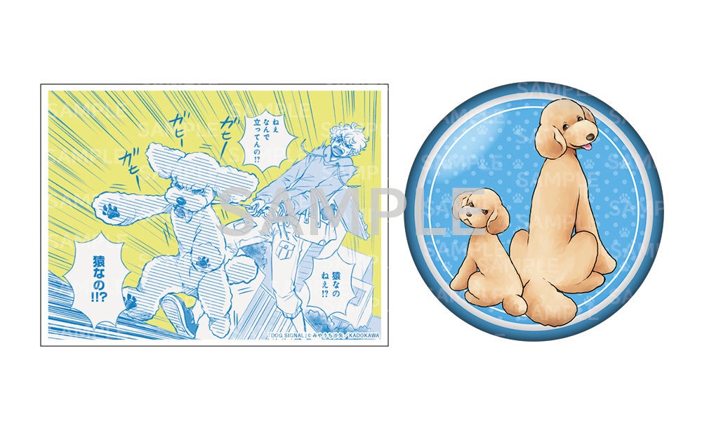 『DOG SIGNAL』新刊発売＆アニメ化記念！限定アクリルバッジ＆缶バッジ付きセット予約受付開始！【漫画全巻ドットコム】のサブ画像2