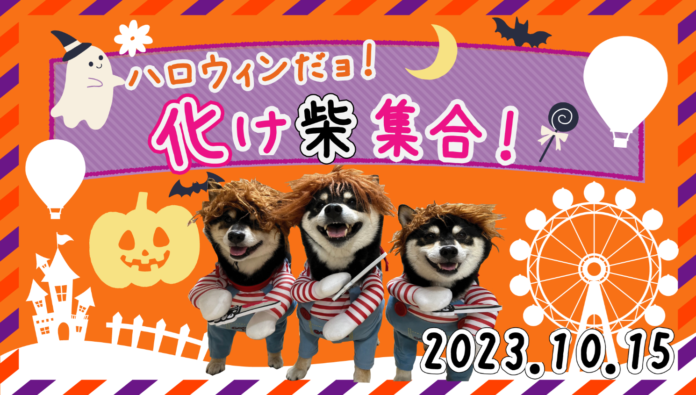 ～ハロウィンだョ！那須ハイに化け柴集まれ！～10月15日に柴犬オフ会開催のお知らせ！のメイン画像