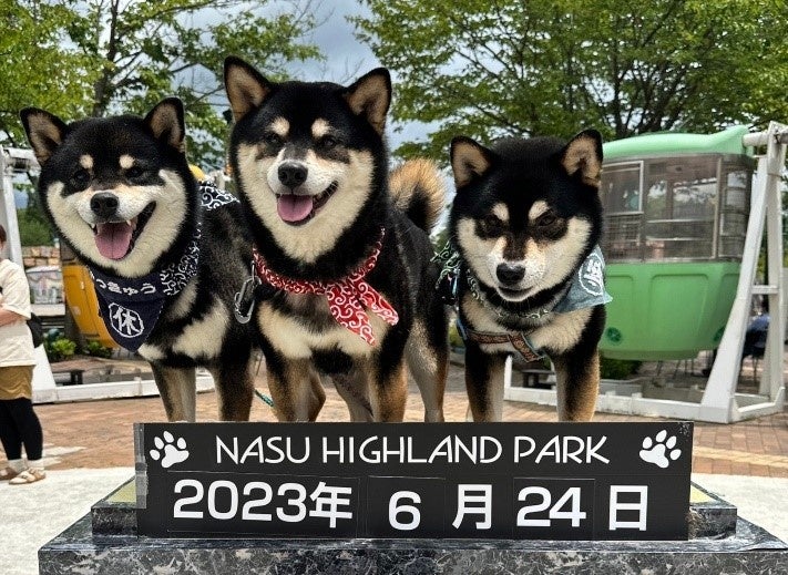～ハロウィンだョ！那須ハイに化け柴集まれ！～10月15日に柴犬オフ会開催のお知らせ！のサブ画像2