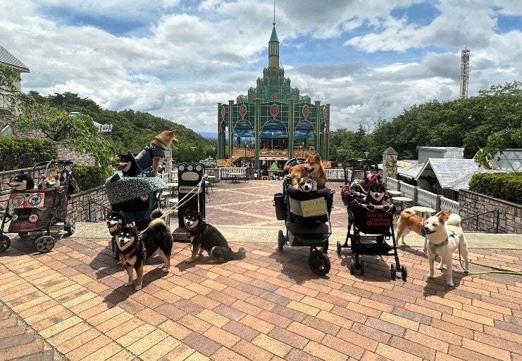 ～ハロウィンだョ！那須ハイに化け柴集まれ！～10月15日に柴犬オフ会開催のお知らせ！のサブ画像3