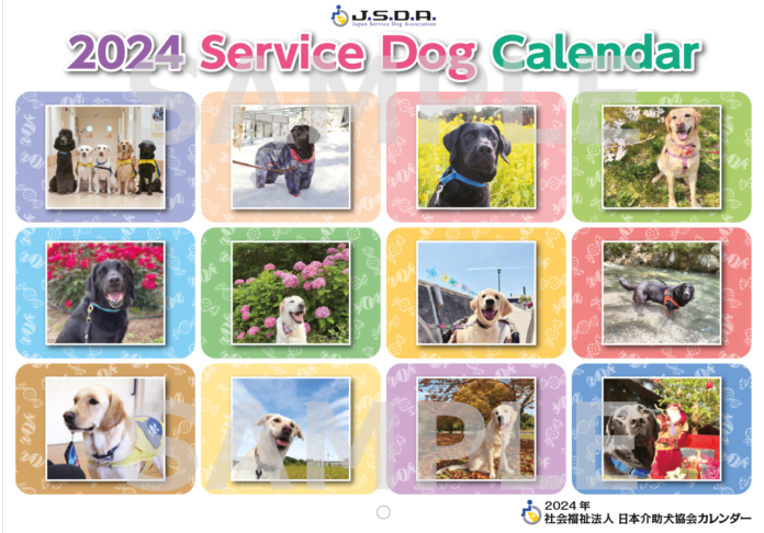 【売れ切れ御免】介助犬の支援に繋がる「2024介助犬カレンダー」の販売開始！のメイン画像