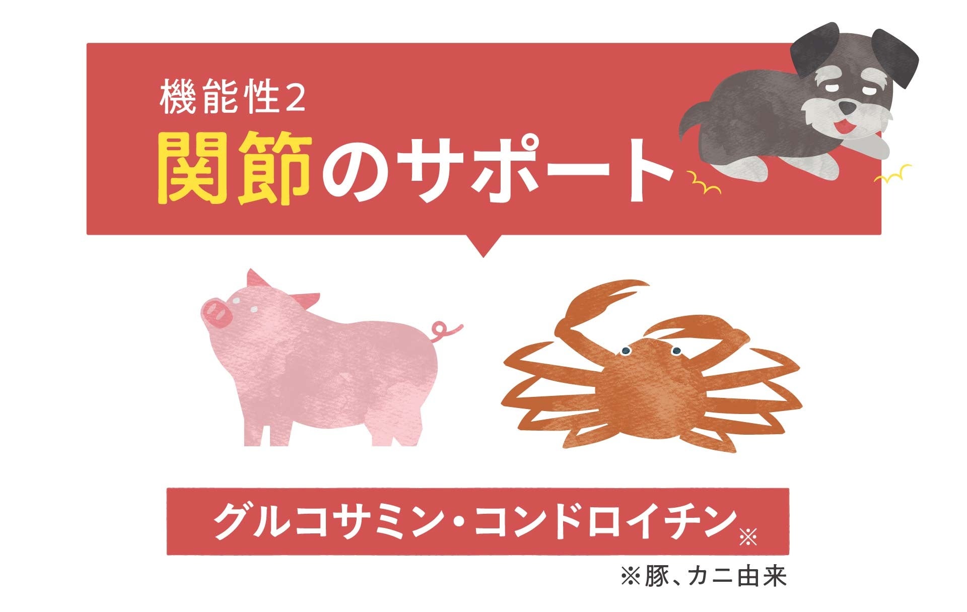 10月2日（月）より新発売！累計販売数160万袋突破の「このこのごはん」から新たにシニアのわんちゃん向けに「シニアのためのこのこのごはん」が発売開始【株式会社オモヤ　コノコトトモニ】のサブ画像3