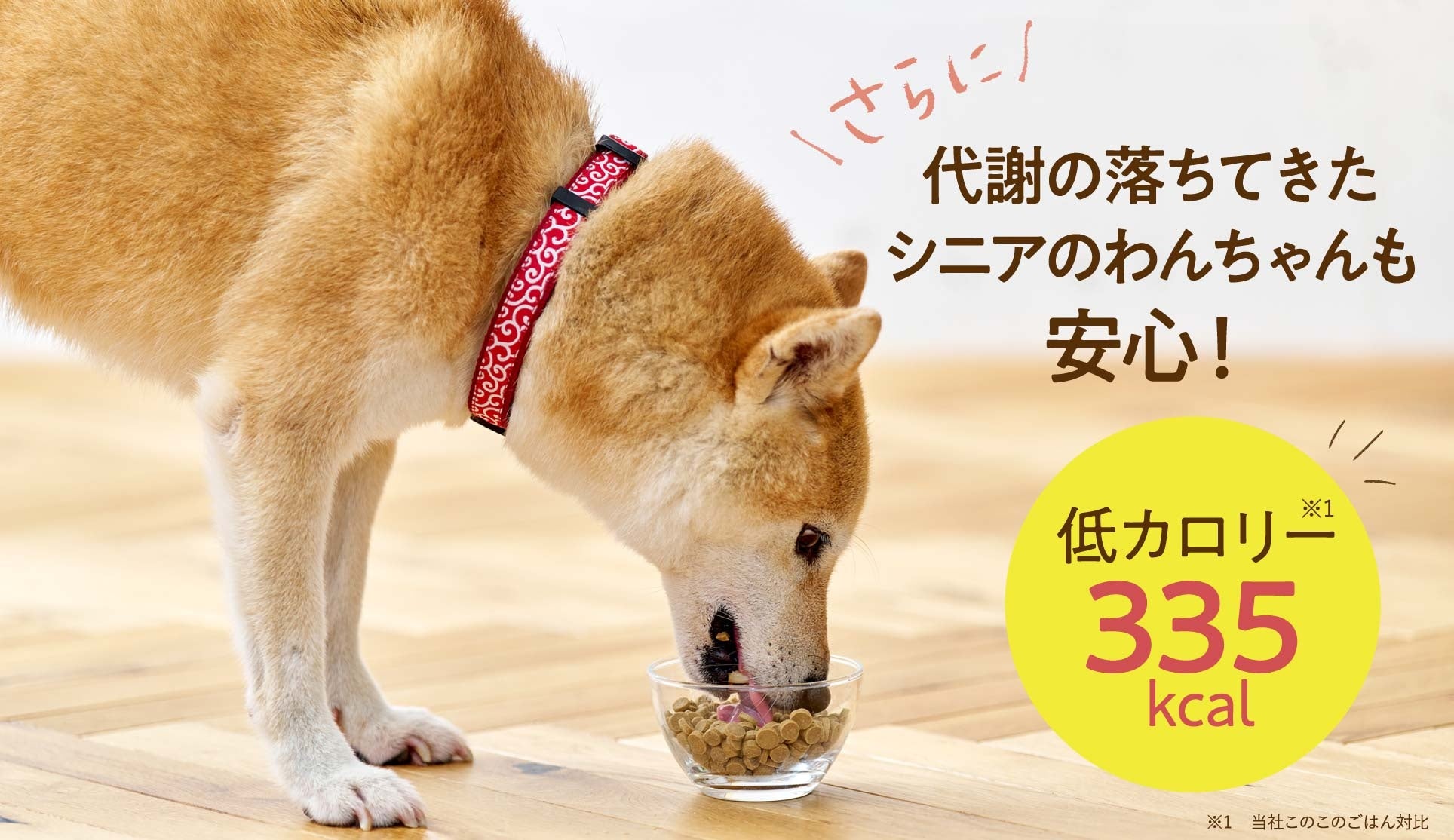10月2日（月）より新発売！累計販売数160万袋突破の「このこのごはん」から新たにシニアのわんちゃん向けに「シニアのためのこのこのごはん」が発売開始【株式会社オモヤ　コノコトトモニ】のサブ画像5