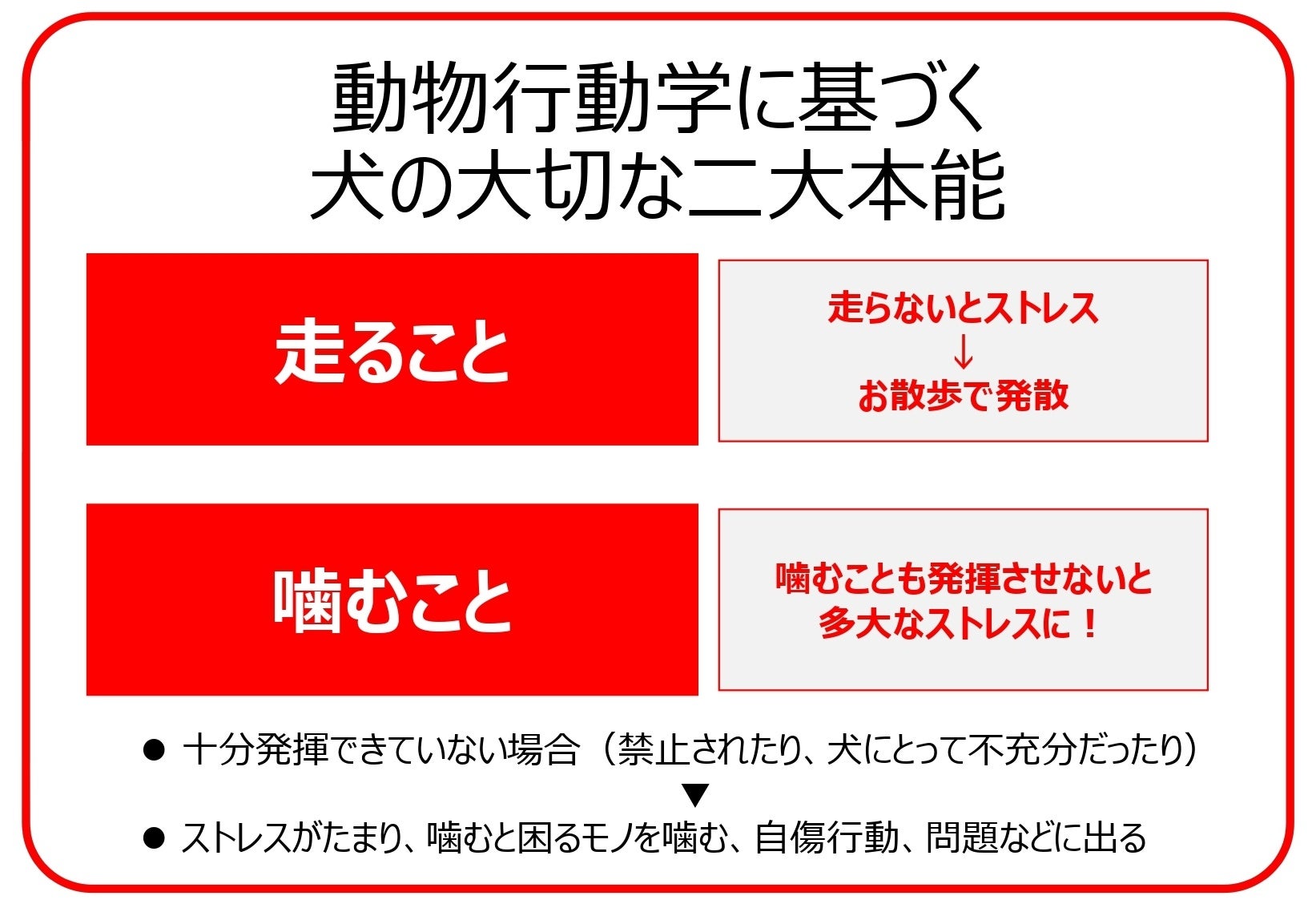 ＜最新レポート公開＞ペットは人を幸せにしてくれる。私たちにできること 「飼い方」の概念が変わる現代犬に足りなかった『噛むこと』が導く愛犬のウェルビーイングのサブ画像4