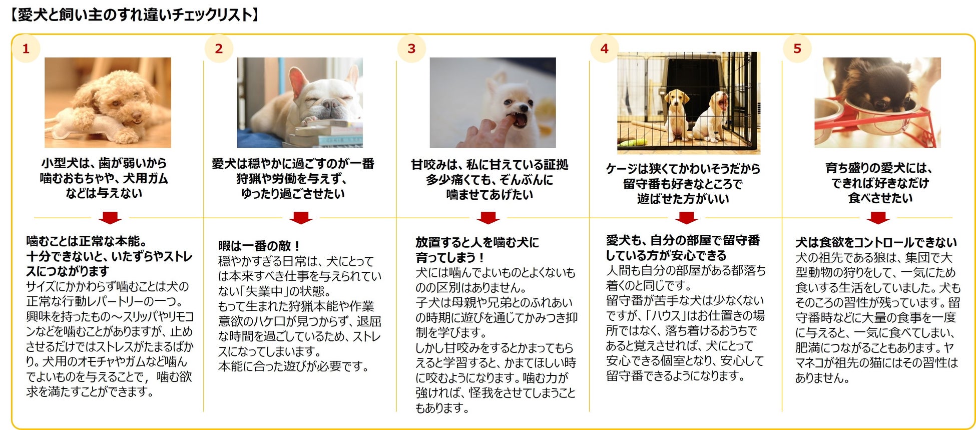 ＜最新レポート公開＞ペットは人を幸せにしてくれる。私たちにできること 「飼い方」の概念が変わる現代犬に足りなかった『噛むこと』が導く愛犬のウェルビーイングのサブ画像5