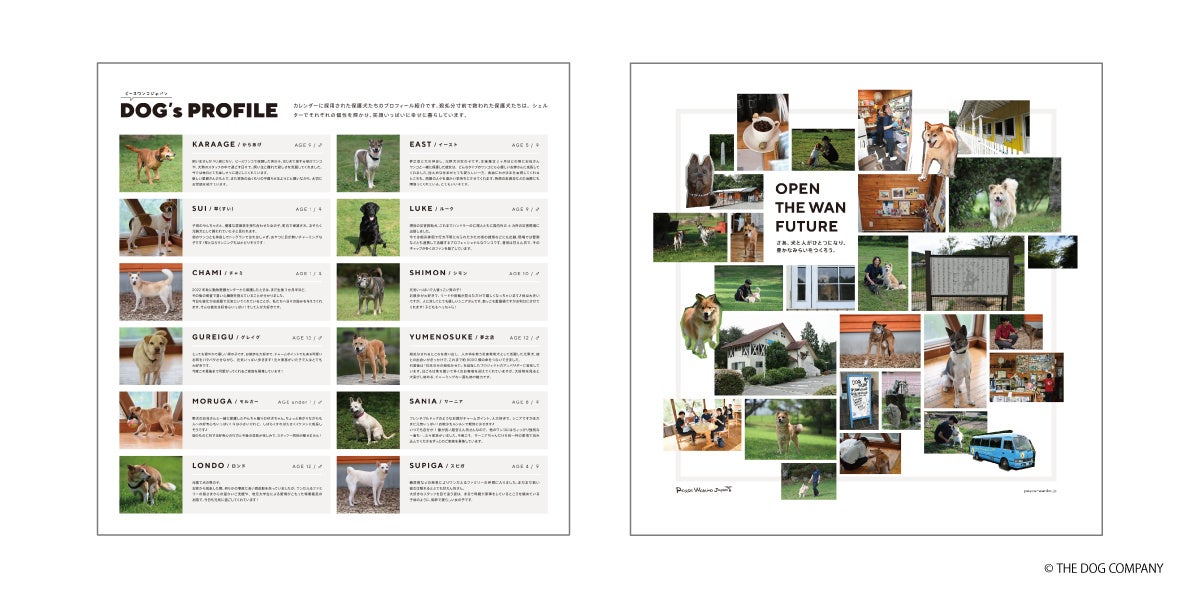 保護犬たちの笑顔を集めた「SAVE THE DOG™ 2024 カレンダー」受注開始！のサブ画像3