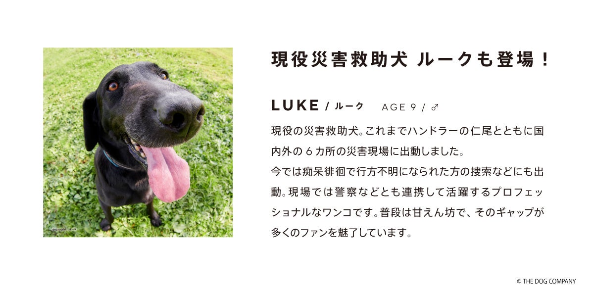 保護犬たちの笑顔を集めた「SAVE THE DOG™ 2024 カレンダー」受注開始！のサブ画像4