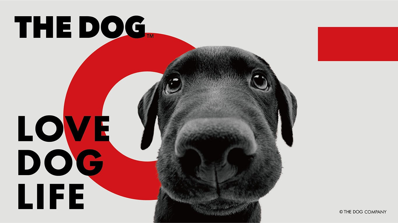 保護犬たちの笑顔を集めた「SAVE THE DOG™ 2024 カレンダー」受注開始！のサブ画像6