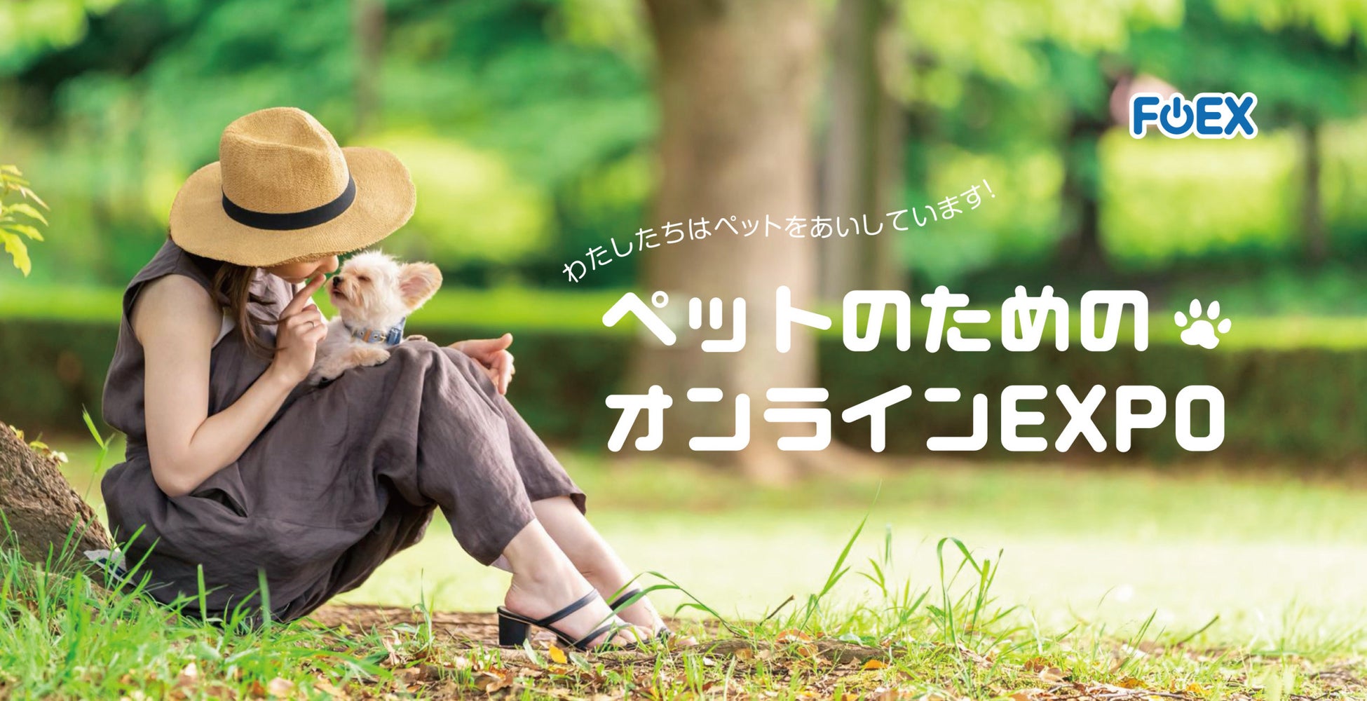 【FOEX】『犬の白内障基礎知識』特別講演 10/18 開催のお知らせ「ペットのためのオンラインEXPO」のサブ画像3