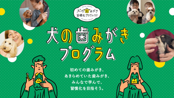 【11/8は「いい歯の日」】ライオンペット史上初、8ヶ月にも及ぶレクチャー「犬の歯みがきプログラム」の裏側に密着！23年度「犬の歯みがき習慣化プロジェクト」の活動報告のメイン画像