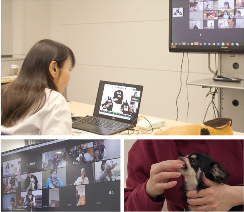 【11/8は「いい歯の日」】ライオンペット史上初、8ヶ月にも及ぶレクチャー「犬の歯みがきプログラム」の裏側に密着！23年度「犬の歯みがき習慣化プロジェクト」の活動報告のサブ画像2
