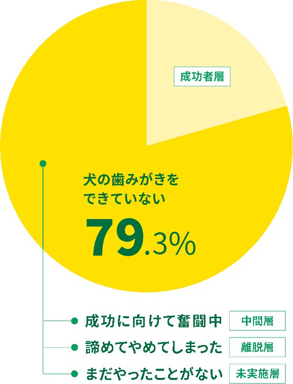 【11/8は「いい歯の日」】ライオンペット史上初、8ヶ月にも及ぶレクチャー「犬の歯みがきプログラム」の裏側に密着！23年度「犬の歯みがき習慣化プロジェクト」の活動報告のサブ画像8