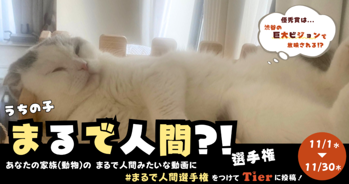 渋谷・宮益坂の巨大ビジョンでうちの子が放映される！動物専門SNS『Tier』で「うちの子まるで人間?!選手権」開催！のメイン画像
