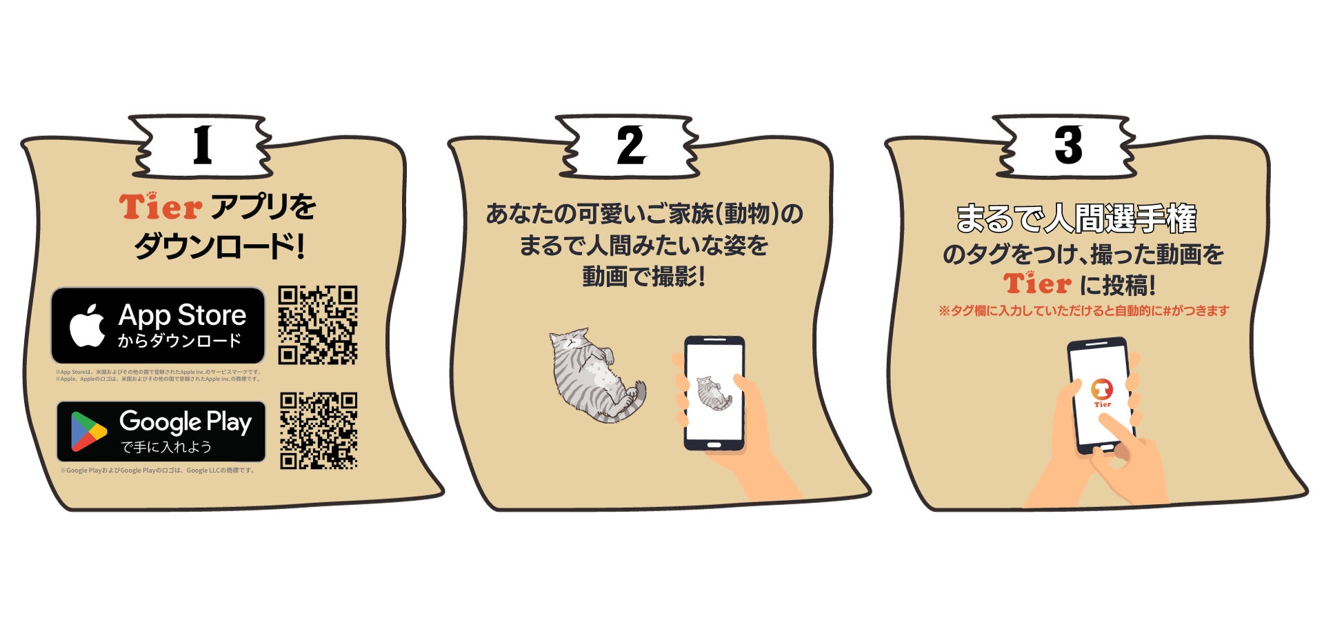 渋谷・宮益坂の巨大ビジョンでうちの子が放映される！動物専門SNS『Tier』で「うちの子まるで人間?!選手権」開催！のサブ画像2