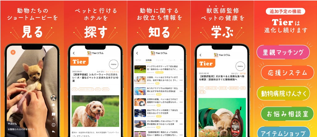 渋谷・宮益坂の巨大ビジョンでうちの子が放映される！動物専門SNS『Tier』で「うちの子まるで人間?!選手権」開催！のサブ画像3