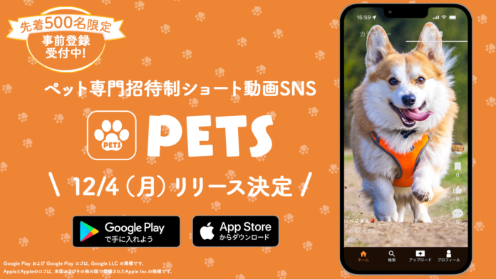 ペット専門招待制ショート動画SNSアプリ「PETS」が新登場！先着500名様限定で事前登録受付を12月3日 23:59まで実施のメイン画像