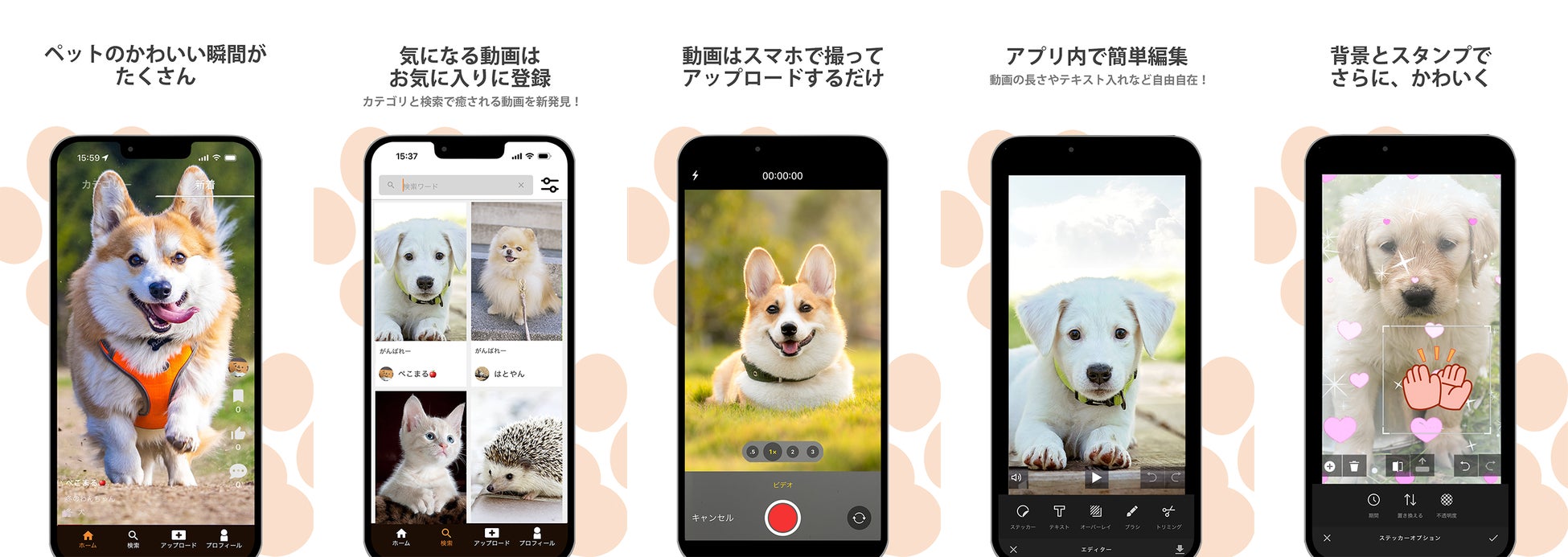ペット専門招待制ショート動画SNSアプリ「PETS」が新登場！先着500名様限定で事前登録受付を12月3日 23:59まで実施のサブ画像2