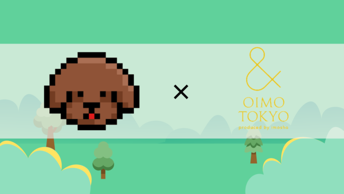 愛犬家の散歩をゲーム化するアプリ「LOOTaDOG」 リアル店舗でのゲーミフィケーションや支援サービスを備えた「LOOTaDOG QR」の新たな設置店舗のお知らせのメイン画像