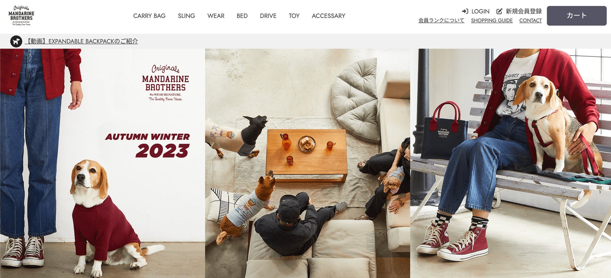 愛犬家の散歩をゲーム化するアプリ「LOOTaDOG」 リアル店舗でのゲーミフィケーションや支援サービスを備えた「LOOTaDOG QR」の新たな設置店舗のお知らせのサブ画像5