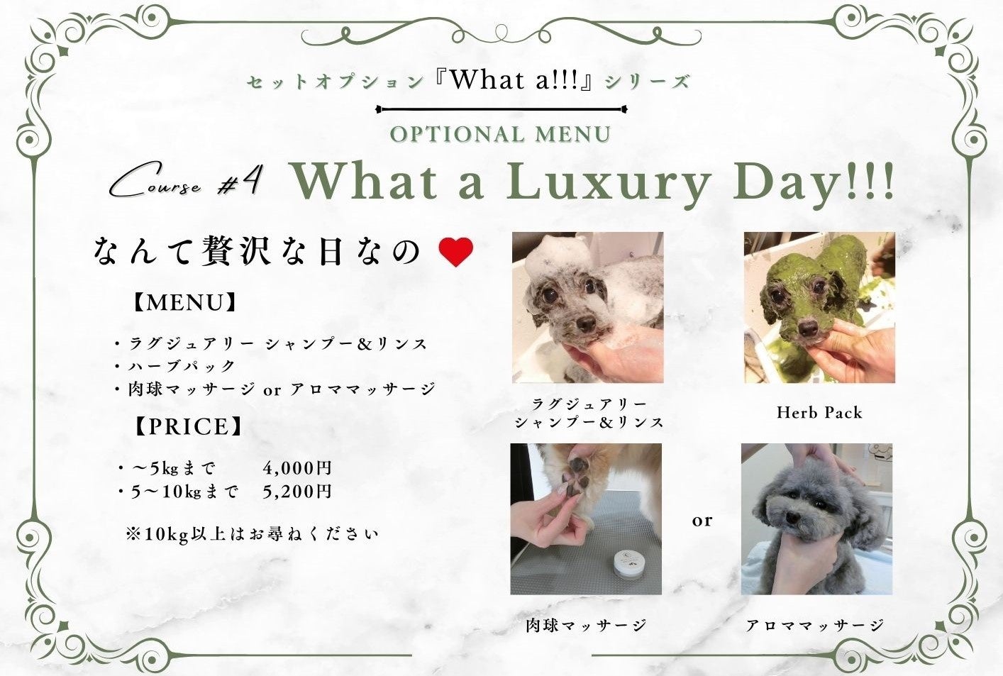 表参道・外苑前 ペットと飼い主のための複合施設「神宮プライズ」トリミングで、対象メニュー11月限定半額キャンペーンを開催いたします！のサブ画像5