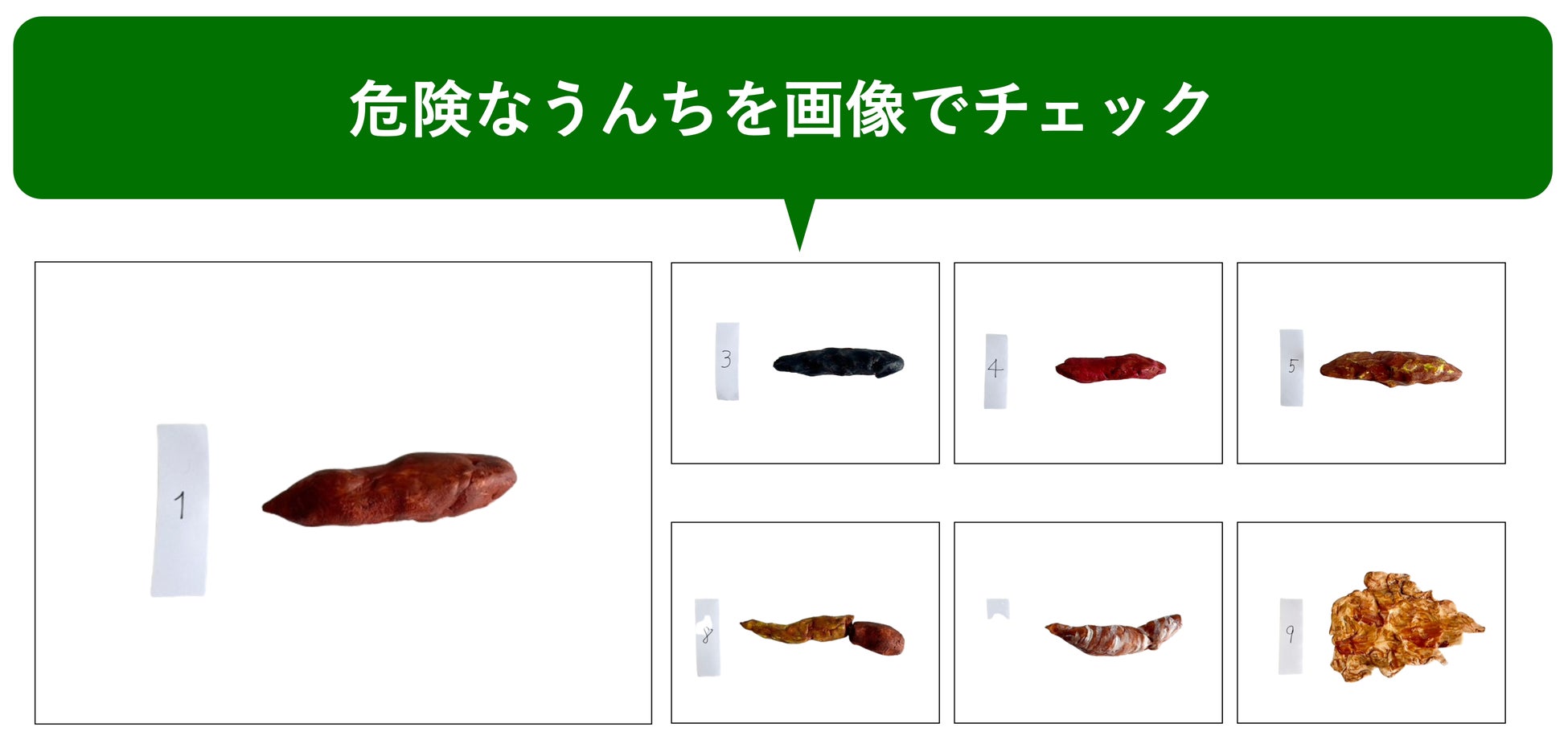 愛犬のうんち、おしっこの状態を画像で調べ危険を察知できる「うちの子のうんちログ」。色や回数、下痢などの造形画像で愛犬のうんち、おしっこと比較できるサービスのサブ画像3